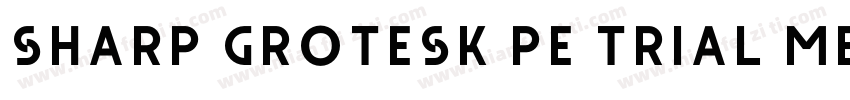 Sharp Grotesk PE Trial Medium 21字体转换